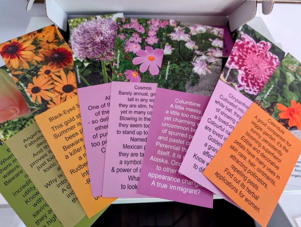 Affirmation Cards My Secret Garden